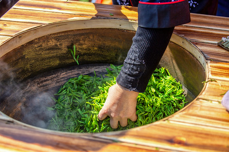 摄影照片_绿茶早晨手茶厂炒茶摄影图配图