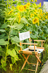 向日葵野餐夕阳野餐户外侧面摄影图配图