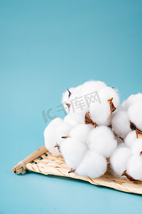 新疆棉花原料棉织品纯棉摄影图配图