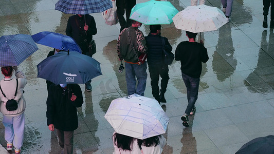 小女孩给猫打伞摄影照片_下雨天打伞撑伞走路的人们人潮拥挤人流意境实拍