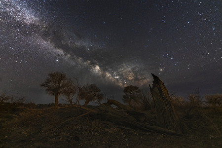 怪树林银河星空夜晚树木室外旅游摄影图配图