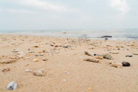 日系海滩海边贝壳海滩摄影图配图