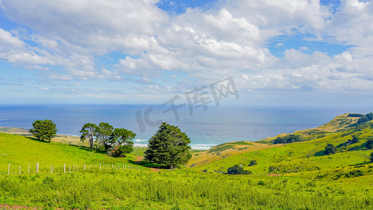 新西兰海边夏季海边风景俯瞰摄影图配图