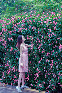 夏季早上蔷薇花少女户外春游摄影图配图