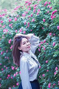 夏季唯美蔷薇花早上花草美女花园赏花摄影图配图