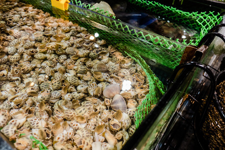 海鲜花螺水产市场食材摄影图配图