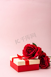 节日情人节玫瑰花粉色背景放置摄影图配图