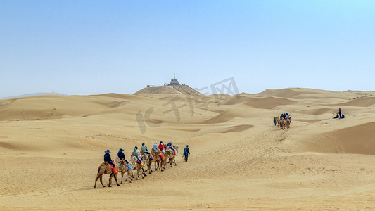 库布其沙漠上午驼队春季素材摄影图配图