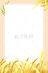清新秋季丰收小麦边框海报psd分层背景