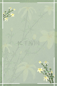 六月花卉连翘中国风花鸟背景