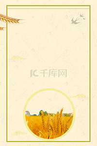 水稻台风背景图片_五谷杂粮丰收稻米小麦海报背景