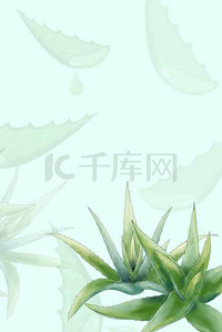 夏季清凉化妆品背景图片_夏季芦荟胶化妆品宣传海报背景素材