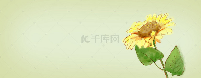 黄色简约向日葵女装banner