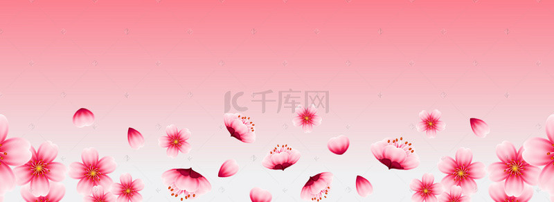 春上新背景图片_新春上新樱花banner