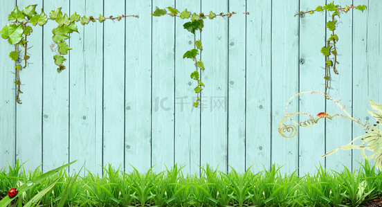 简约环保绿色背景图片_墙上的春天banner背景图