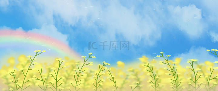 油菜花开彩色手绘banner