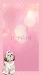 粉色的花朵素材背景图片_粉色背景上的小狗H5素材背景