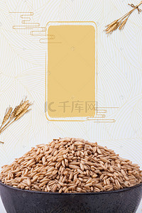 节约粮食背景墙背景图片_简约淡雅中式小麦粮食健康养生背景