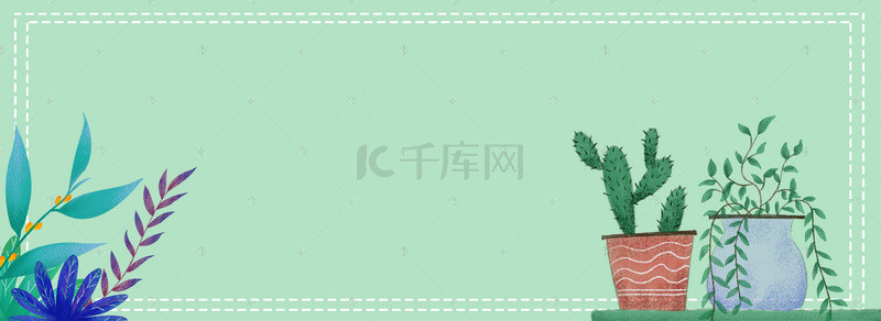 植物盆栽叶子绿色春天生机