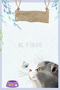 宠物猫医院背景图片_创意小清新宠物猫领养背景合成