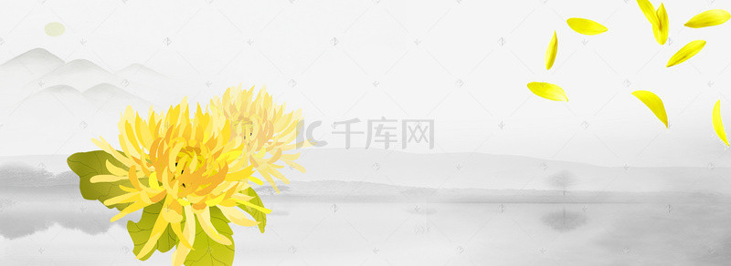 促销白色海报背景图片_菊花简约白色海报背景banner