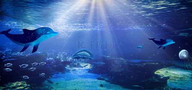 海洋环保背景图片_海洋生物世界游玩海报背景