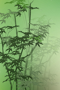 绿色竹子护肤品PSD分层H5背景素材