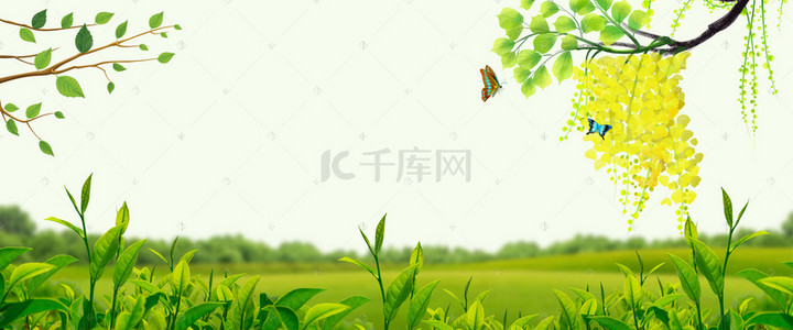 新茶春茶海报背景图片_小清新风淘宝茶叶海报banner