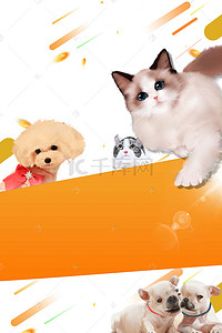 狗背景图片_宠物之家宠物店猫狗卡通海报