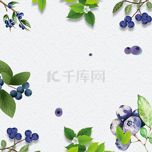 小清新蓝莓背景促销主图