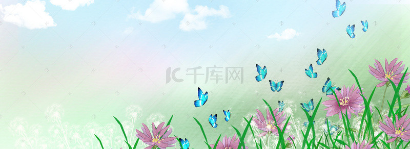 花海花卉背景图片