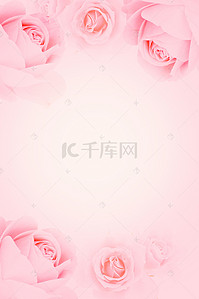 粉色玫瑰花七夕情人节浪漫唯美海报