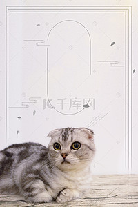 宠物猫海报背景图片_温馨宠物早安海报背景
