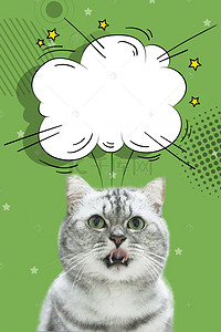 宠物宠物海报背景图片_卡通风宠物店宠物领养宠物美容海报