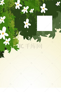 小清新白色的花广告背景