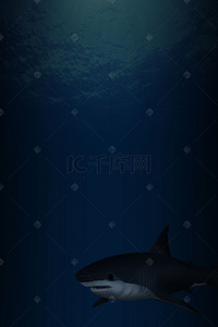 海洋背景图片_海洋中的霸主海报PSD背景图