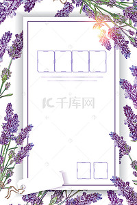 春季上新紫色清新海报背景