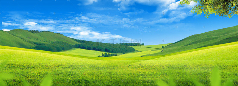 绿色草原背景背景图片_清新绿色草原牧场蓝天背景