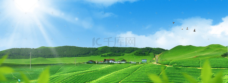 小清新绿色山坡阳光蓝天背景