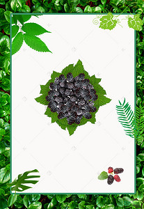 水果广告模板背景图片_绿叶覆盆子树莓水果广告海报背景素材