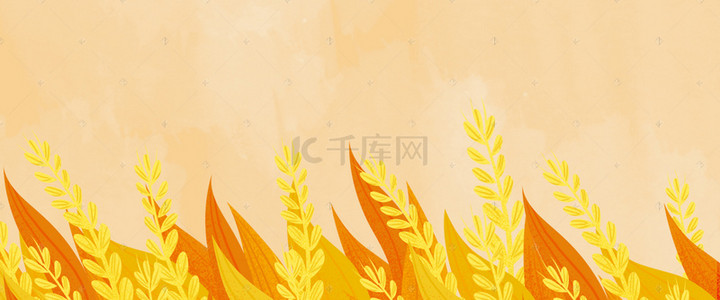 秋背景图片_小麦 上新 banner