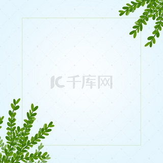 优惠券背景图片_简约植物草本化妆品主图