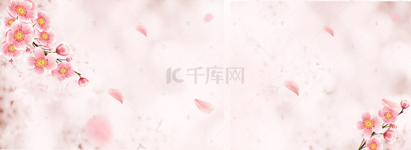 樱花节春季手绘樱花banner