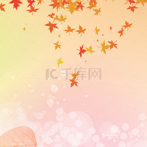 秋季黄色枫叶萧瑟主图背景