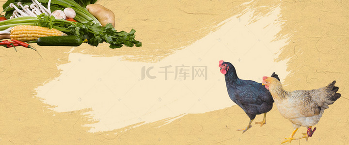 土鸡特产 食品海报背景素材