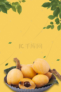 新鲜绿色水果背景图片_新鲜美味水果枇杷采摘促销海报背景模板
