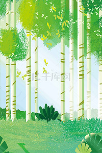世界森林日背景图片_世界森林日海报背景