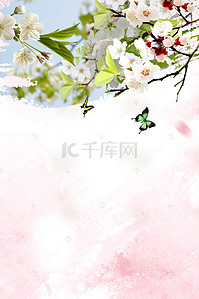 旅游春季海报背景图片_小清新风格春季梨花海报