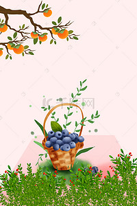 柿子背景背景图片_水果花卉背景图片