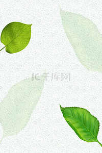 小清新树叶素材背景图片_绿色质感文艺树叶PSD分层H5背景素材